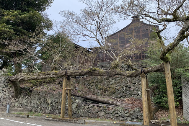 海津見神社（竜神のエノキ）